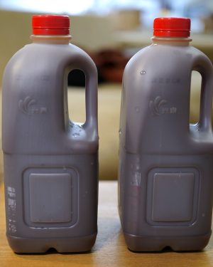 自製優質有機發酵液肥 1800ml